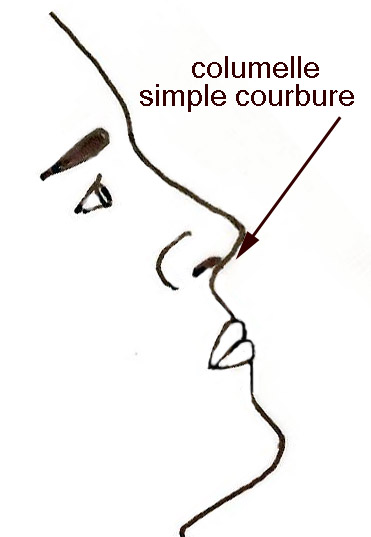 columelle-homme-rhinoplastie-chirurgie-esthetique