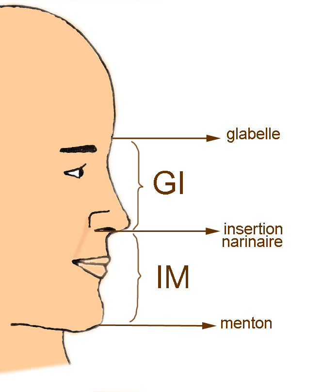 équilibre-tiers-chirurgie-esthétique-nez